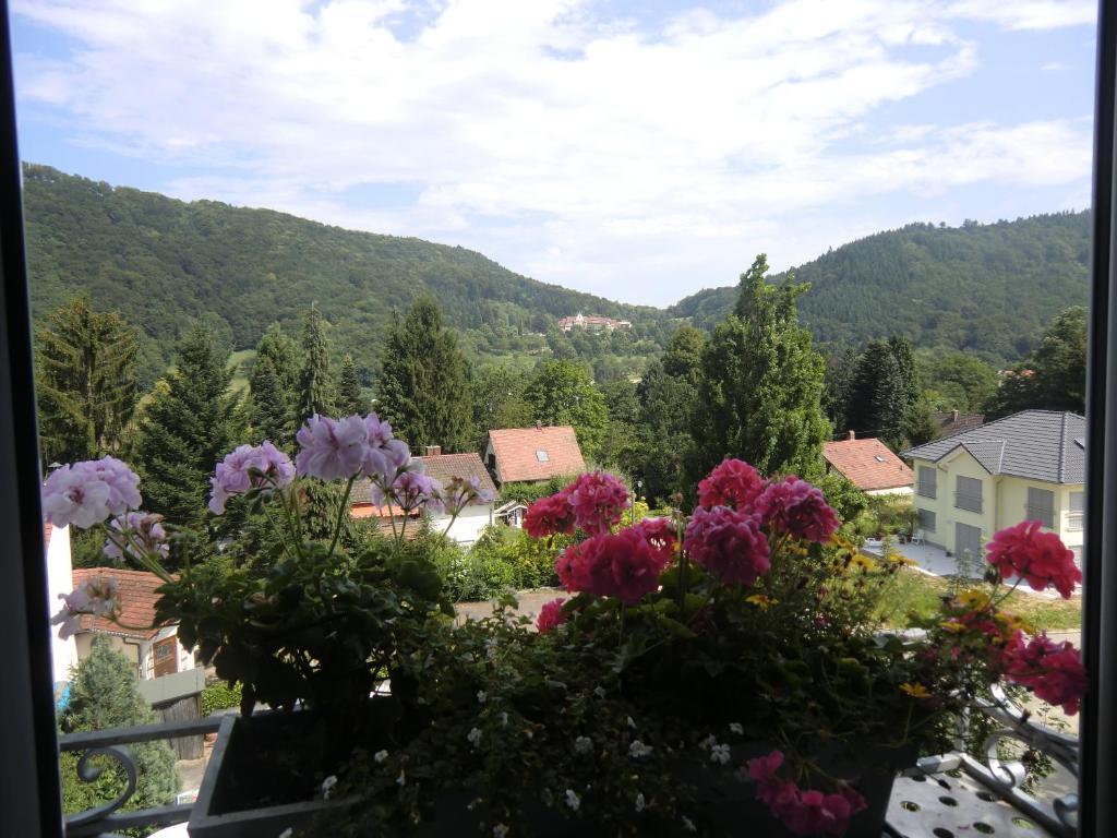 Haus Marija M 호텔 바덴바일러 외부 사진